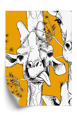 Tapeta Žirafy na oranžovom pozadí