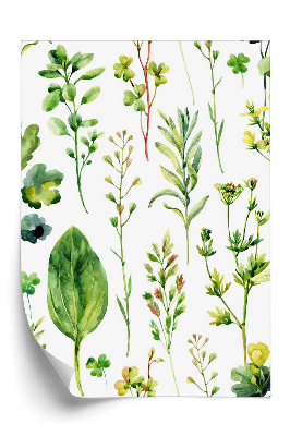 Tapeta na stenu Poľná burina a byliny