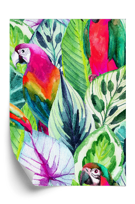 Tapeta na stenu Papagáje a tropické listy