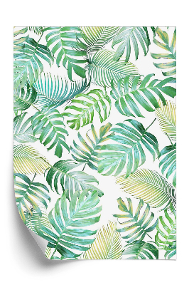 Tapeta Zelené tropické listy