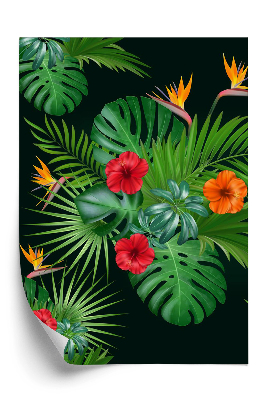 Tapeta Exotický vzor na čiernom pozadí