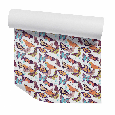 Tapeta na stenu Motýle rôznych druhov