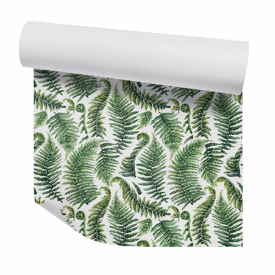 Tapeta Zelené listy papradia