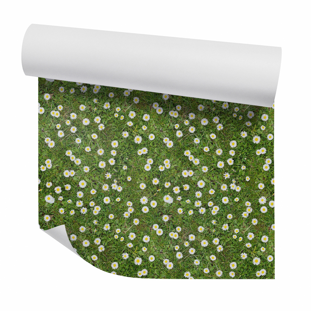 Tapeta na stenu Sedmokrásky na lúke