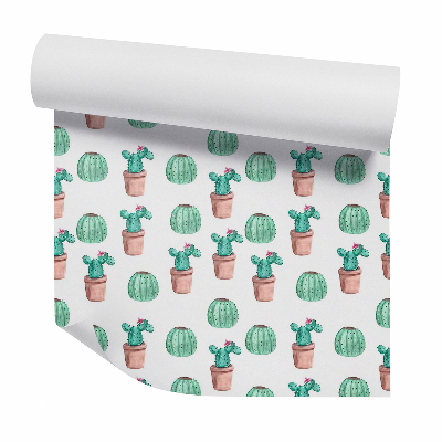 Tapeta Dekoratívne kaktusy v kvetináčoch
