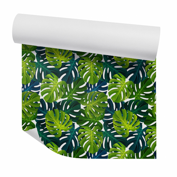 Tapeta Tropické rastliny monstera listy