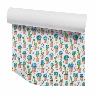 Tapeta Kaktusy v kvetináčoch s kamienkami