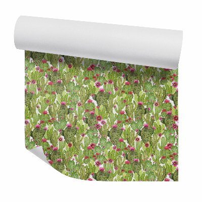 Tapeta na stenu Kaktusy s červenými kvetmi