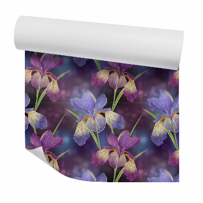 Tapeta Kvety fialové rozmazané pozadie