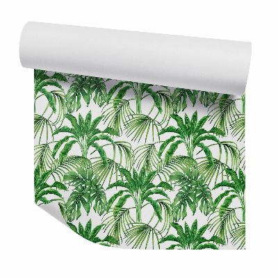 Tapeta Exotické paprade