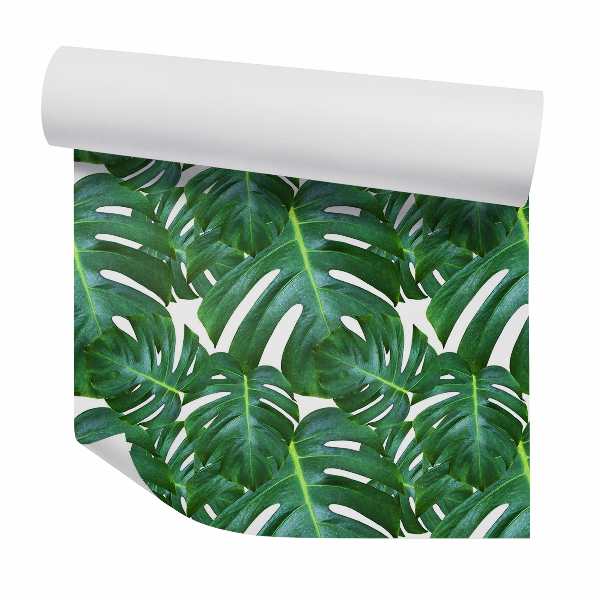 Tapeta Monstera svetlozelená