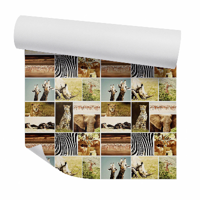 Tapeta na stenu Zvieratá zo savany vo štvorcoch