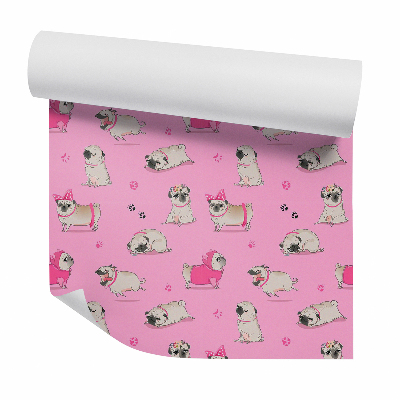 Tapeta na stenu Pes mopuje v oblečení