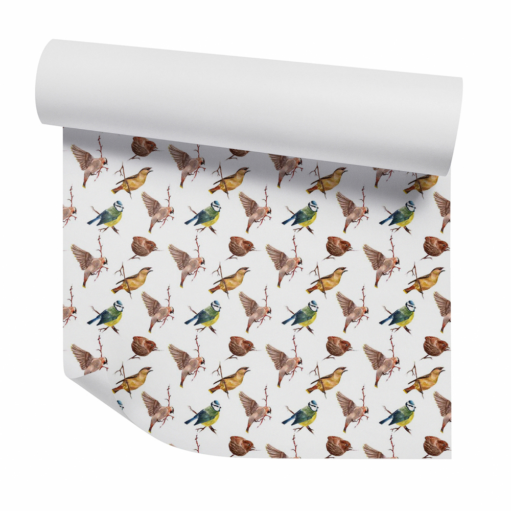 Tapeta Vrabce a iné vtáky