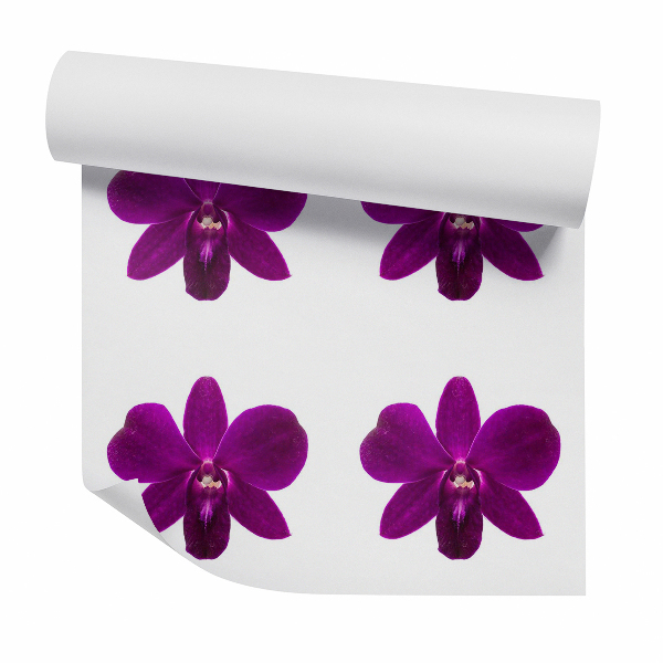 Tapeta na stenu Fialový kvet orchidey