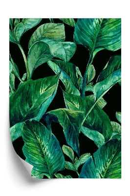 Tapeta Tropické listy na čiernom pozadí