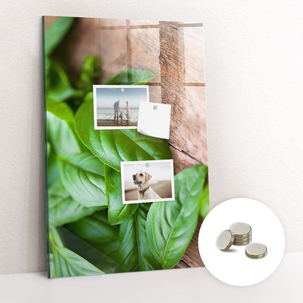 Tabuľa na magnetky Bazalka