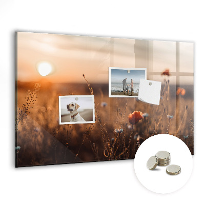 Detská magnetická tabuľa Pole pri východe slnka