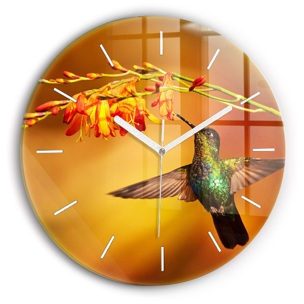 Okrúhle nástenné hodiny Kolibrík vták