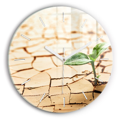 Okrúhle hodiny Rastlina v suchej zemi