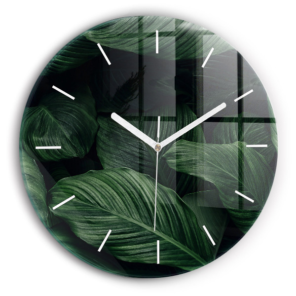 Okrúhle hodiny Tropická monstera